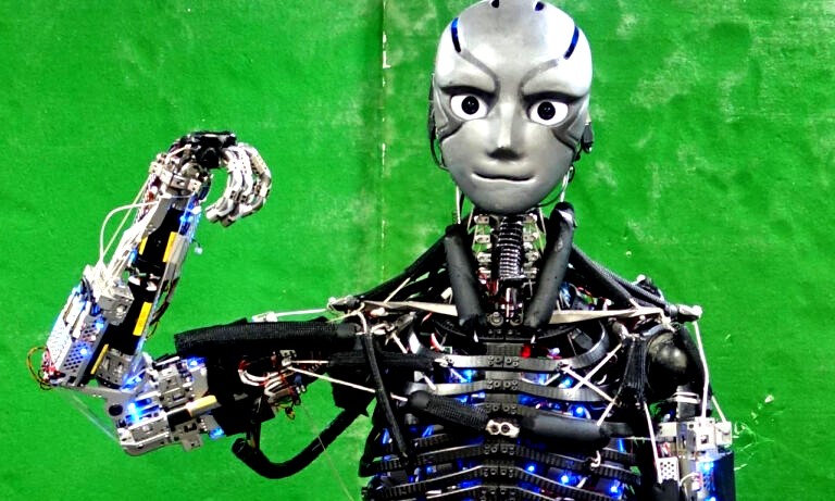 Advanced Humanoid Robots Worldwide