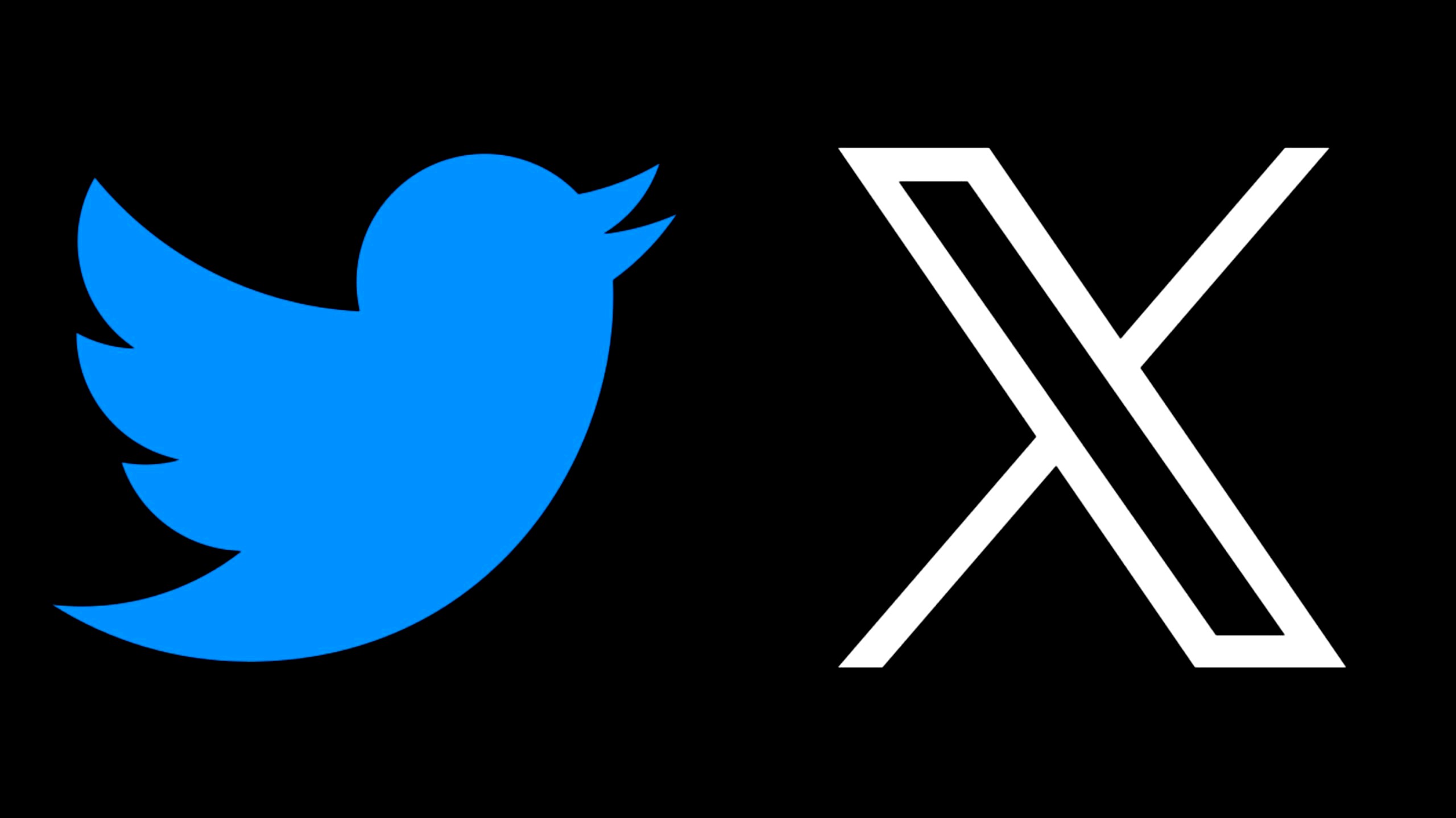 Twitter Logo Changed
